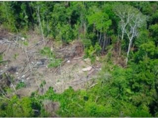 Photogrpahie aérienne d'une portion de la forêt amazonienne détruite