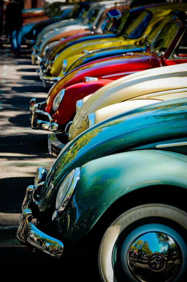 Des coccinelles rangées dans un parking