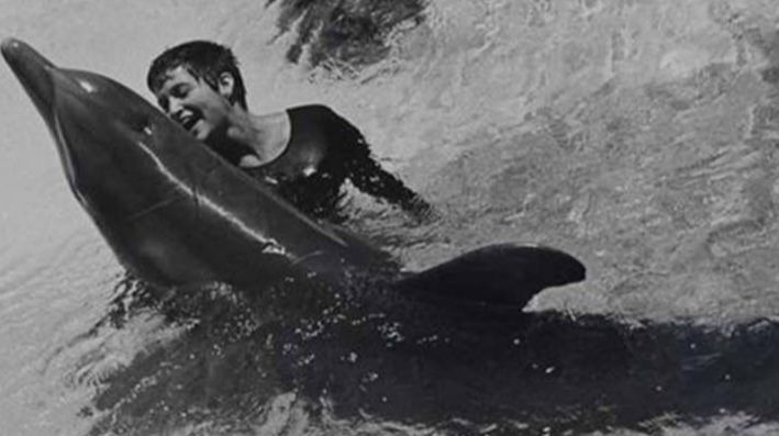 Margaret Howe Lovatt et le dauphin Peter dans un bassin d'eau